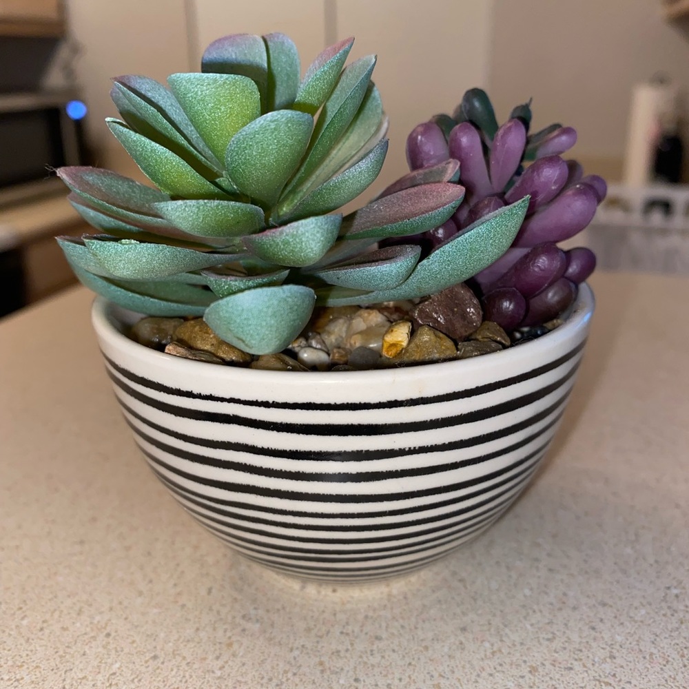 Small fake plant